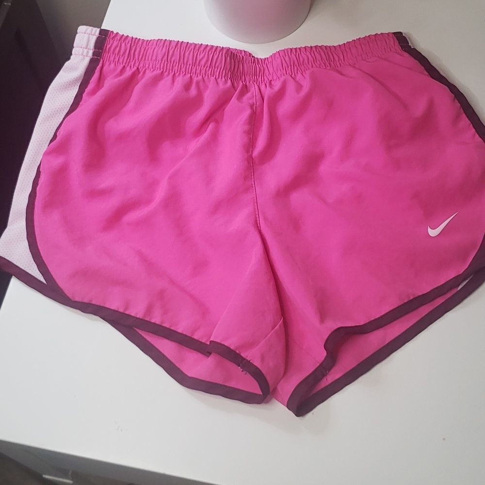 Nike Dryfit Running Shorts